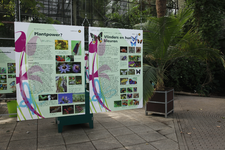806554 Afbeelding van enkele informatieborden in de Botanische Tuinen van de Universiteit Utrecht in het Fort Hoofddijk ...